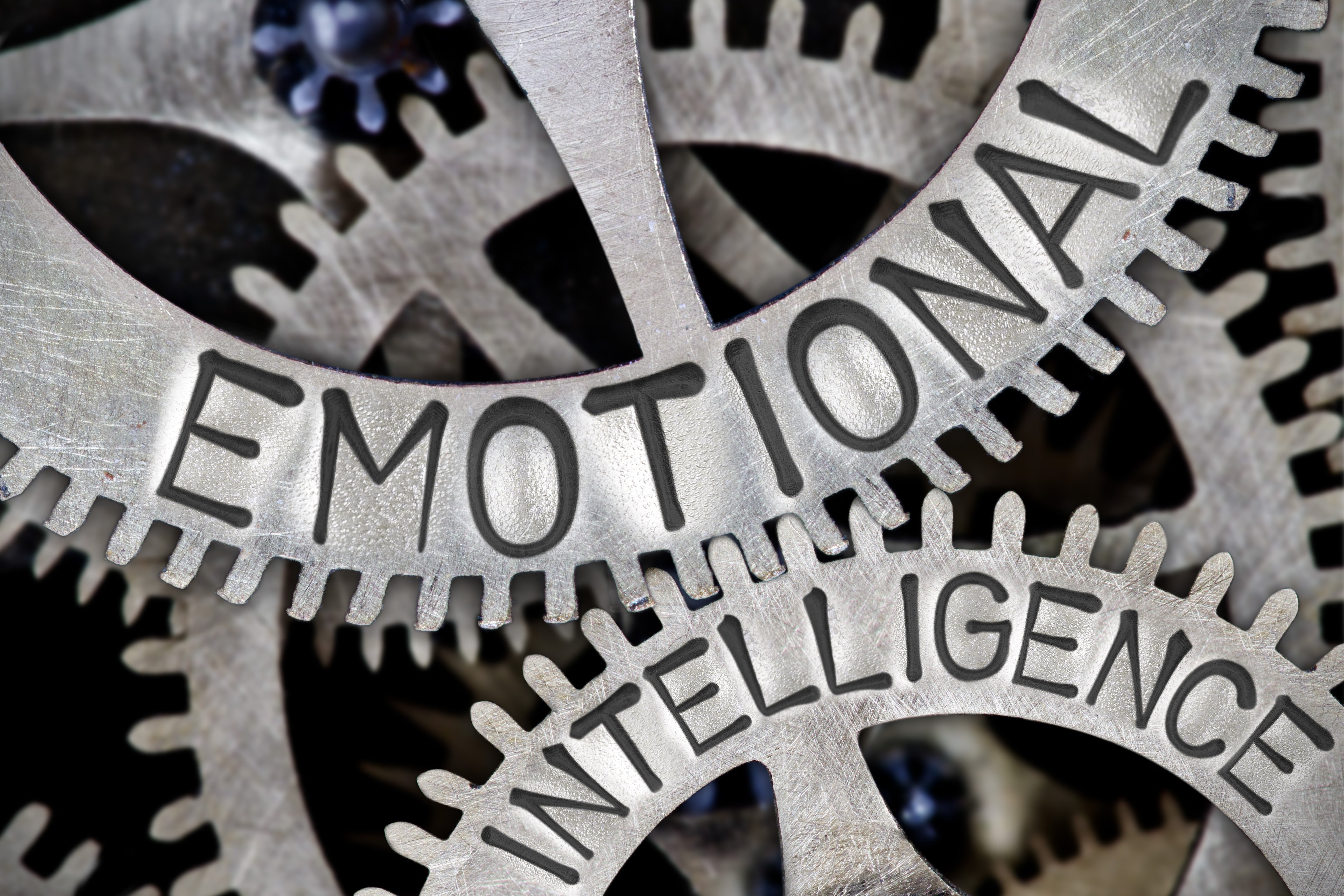 The Role of Emotional Intelligence in De-escalation
